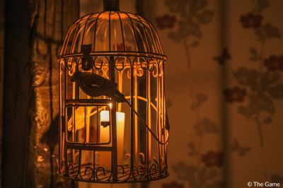 the-game-the-kidnapping-the-birds-cage